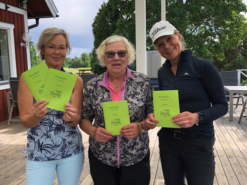 Damgolfen 18 juni