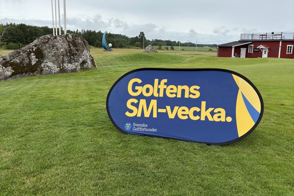 Resultat från SM