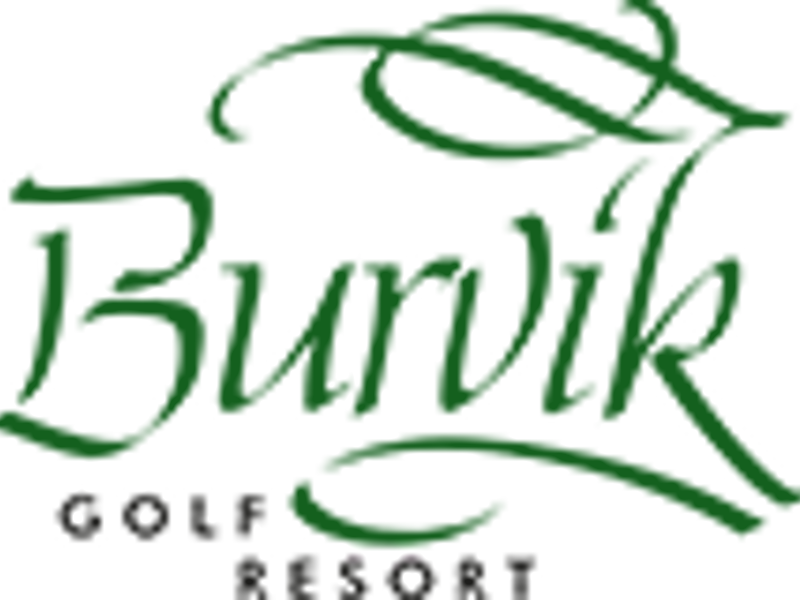 Burviklogo